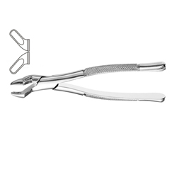 Dental Instruments