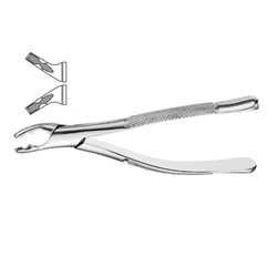 Dental Instruments