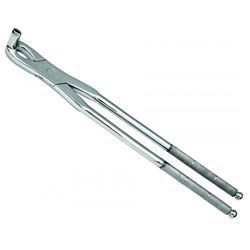 Forceps