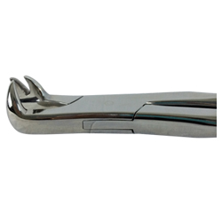 Heavy Duty Forceps