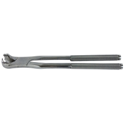 Forceps