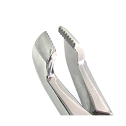 Reynolds Cap Extractor Forceps