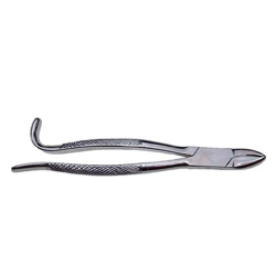 Wolf Tooth Forceps