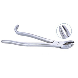 Wolf Tooth Forceps