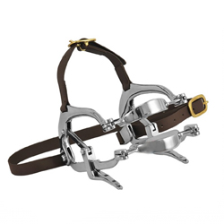 Millennium Speculum