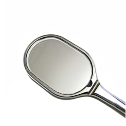 Equine Dental Mirror