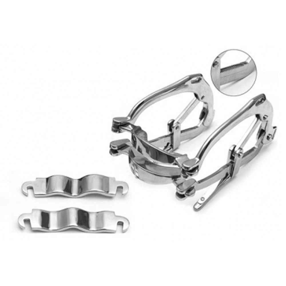 Millennium Speculum