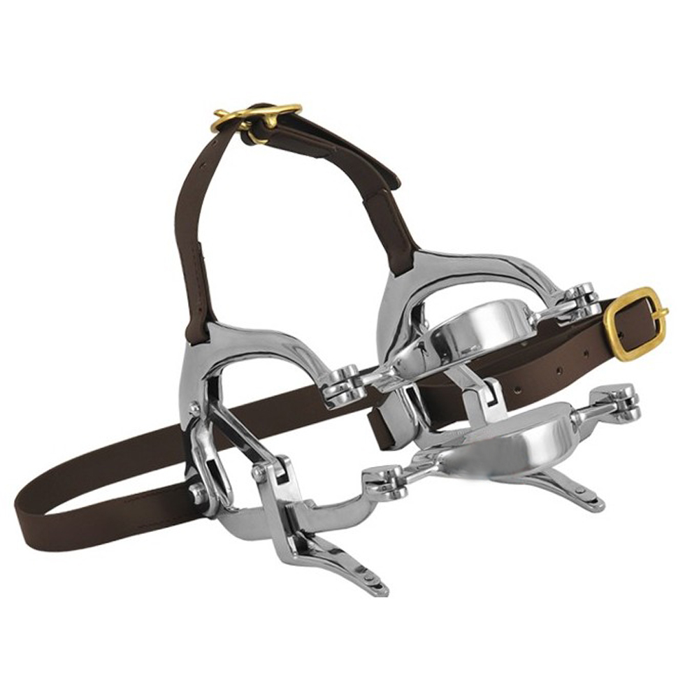Millennium Speculum