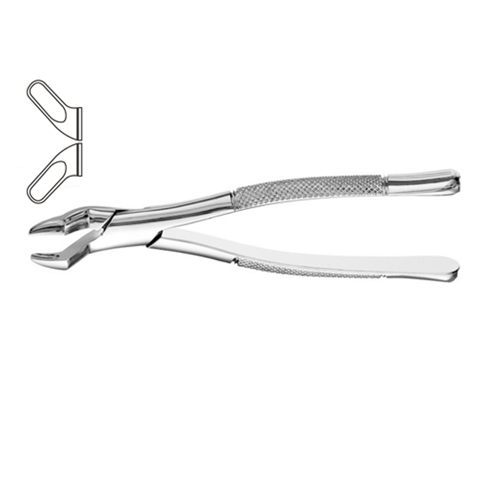 Dental Instruments