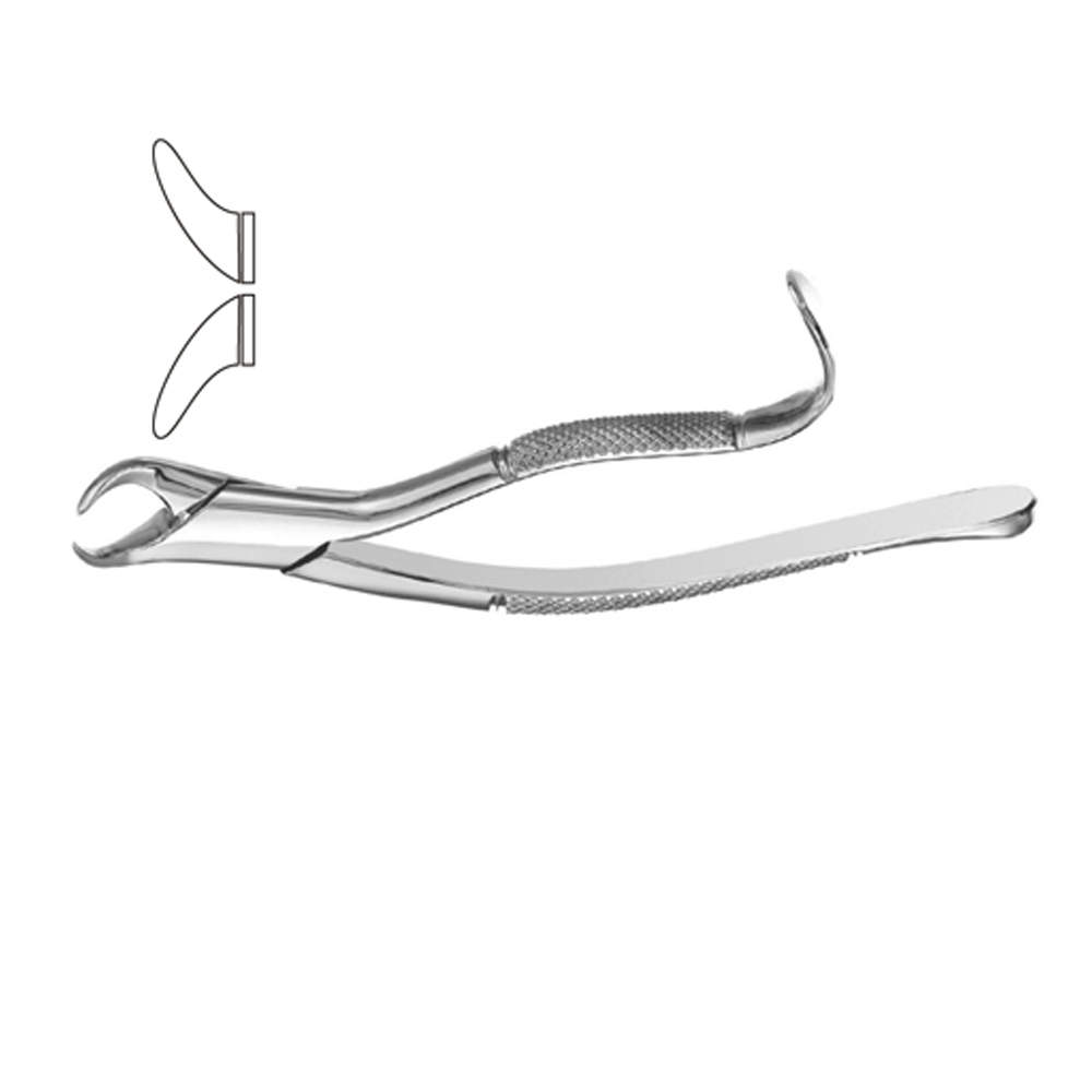 Dental Instruments