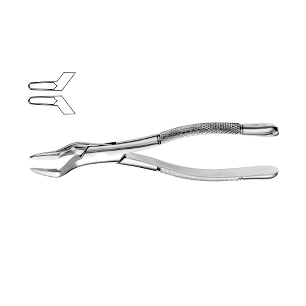 Dental Instruments