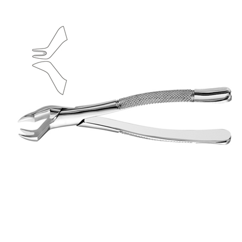 Dental Instruments