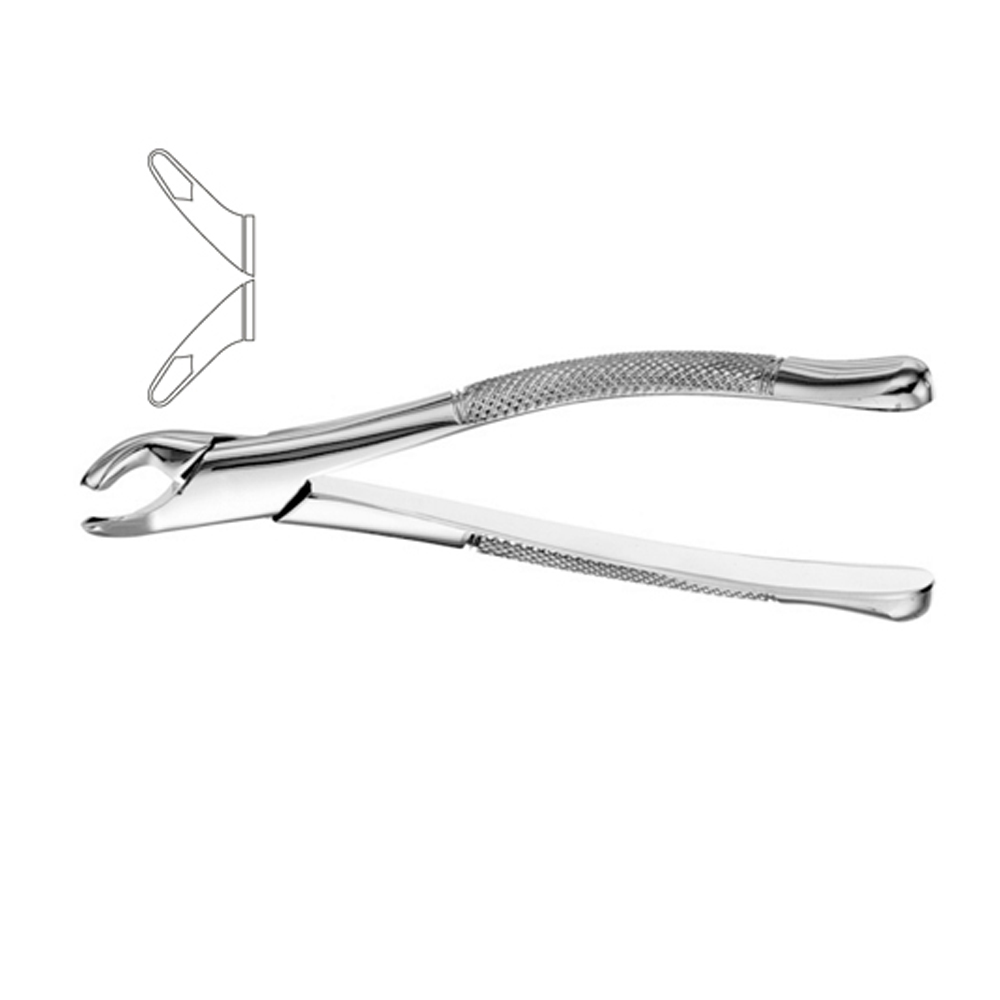 Dental Instruments