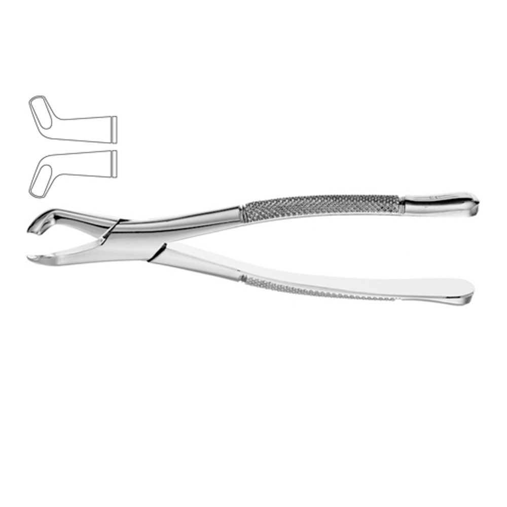 Dental Instruments