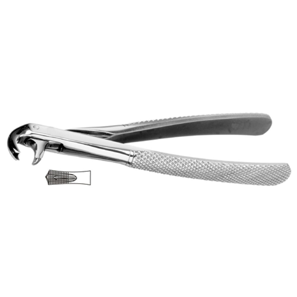 Dental Instruments