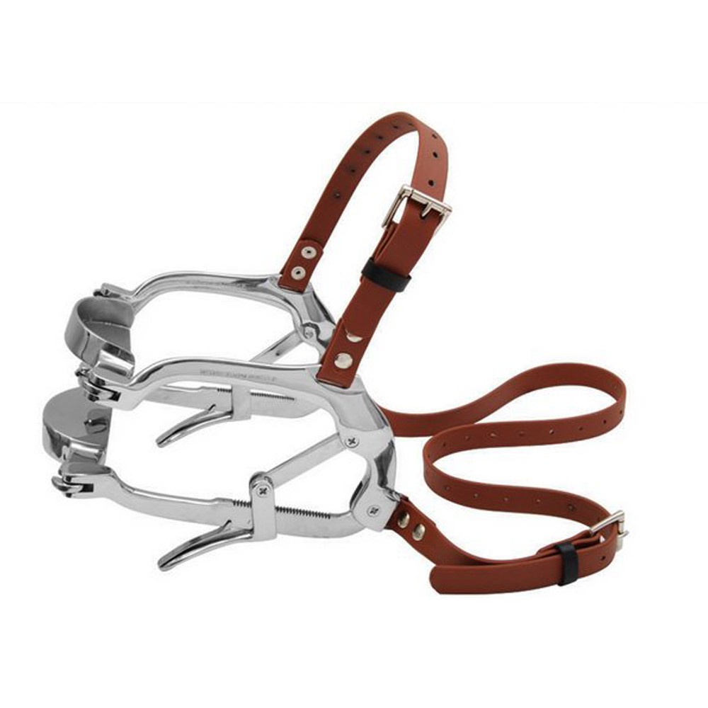 Millennium Speculum
