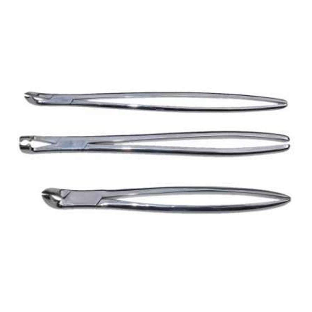 Forceps