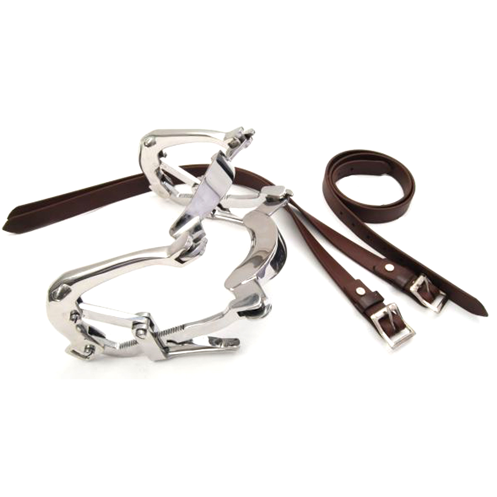 Millennium Speculum