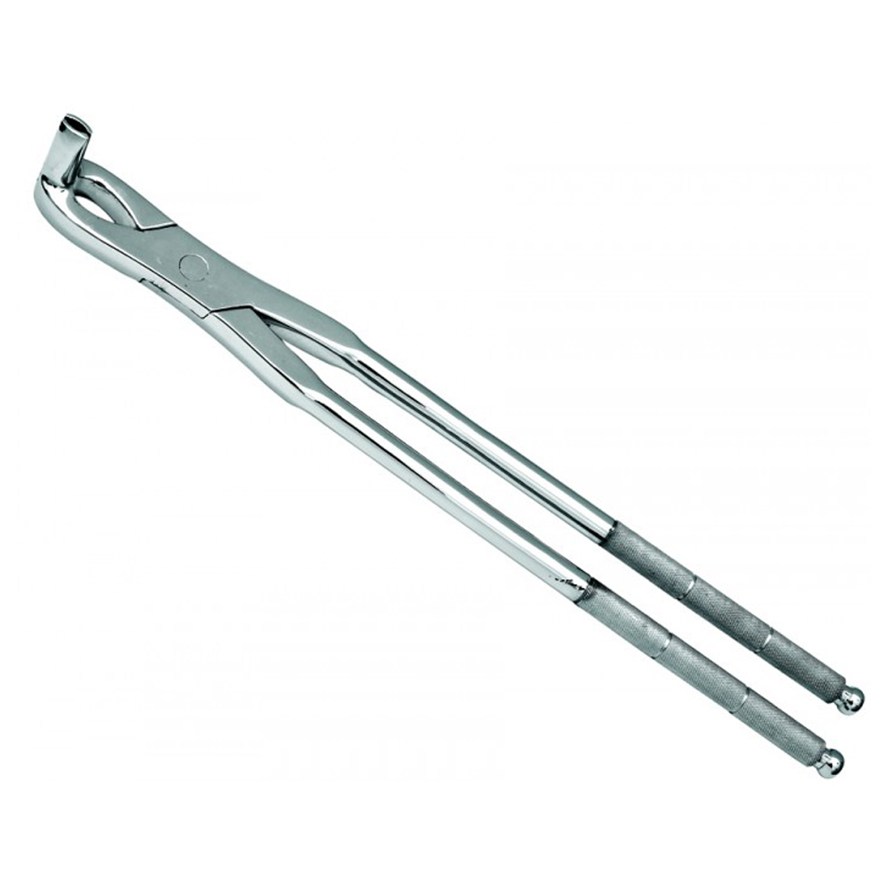 Forceps