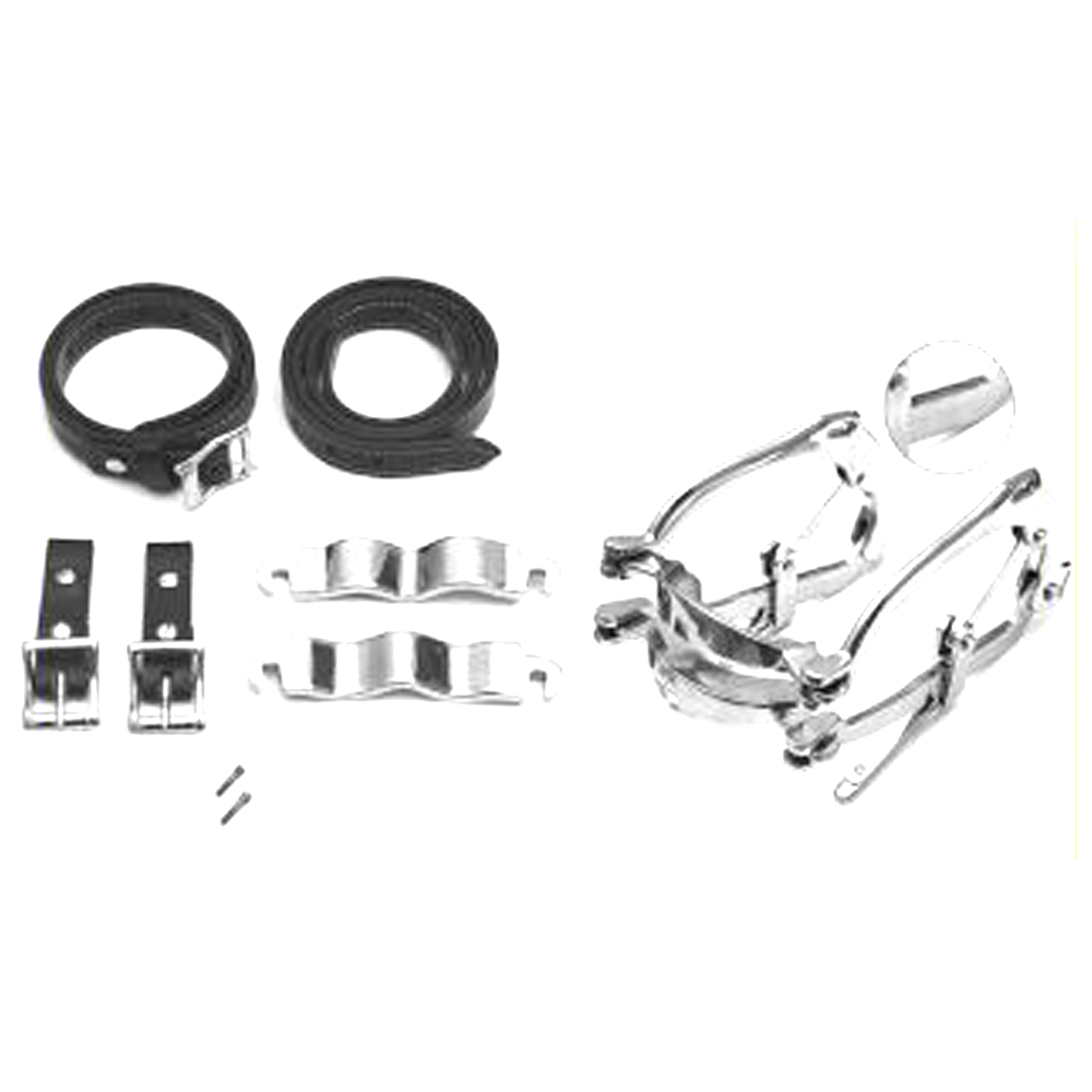 Millennium Speculum