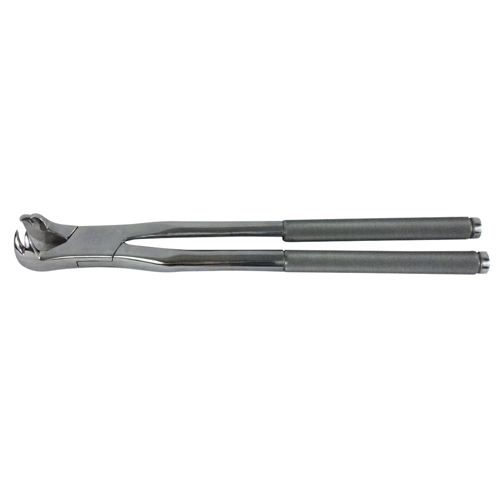 Forceps