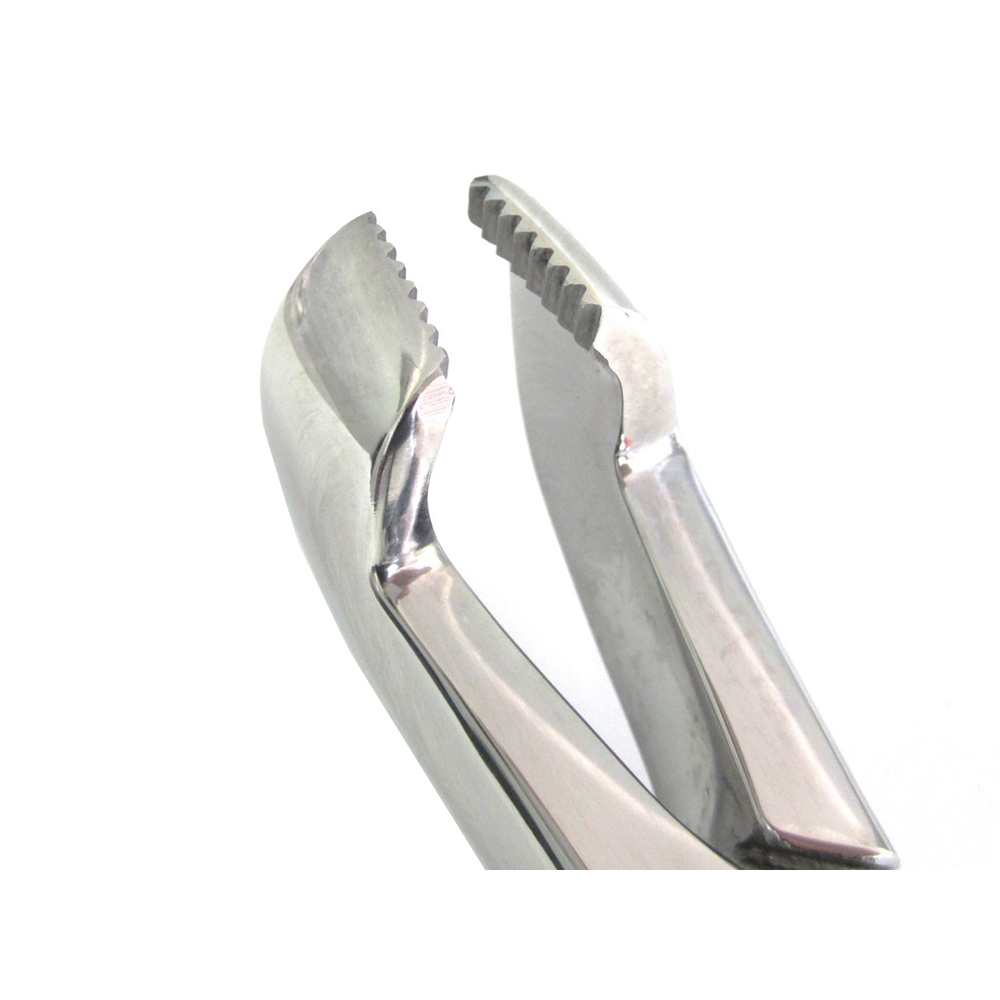 Reynolds Cap Extractor Forceps