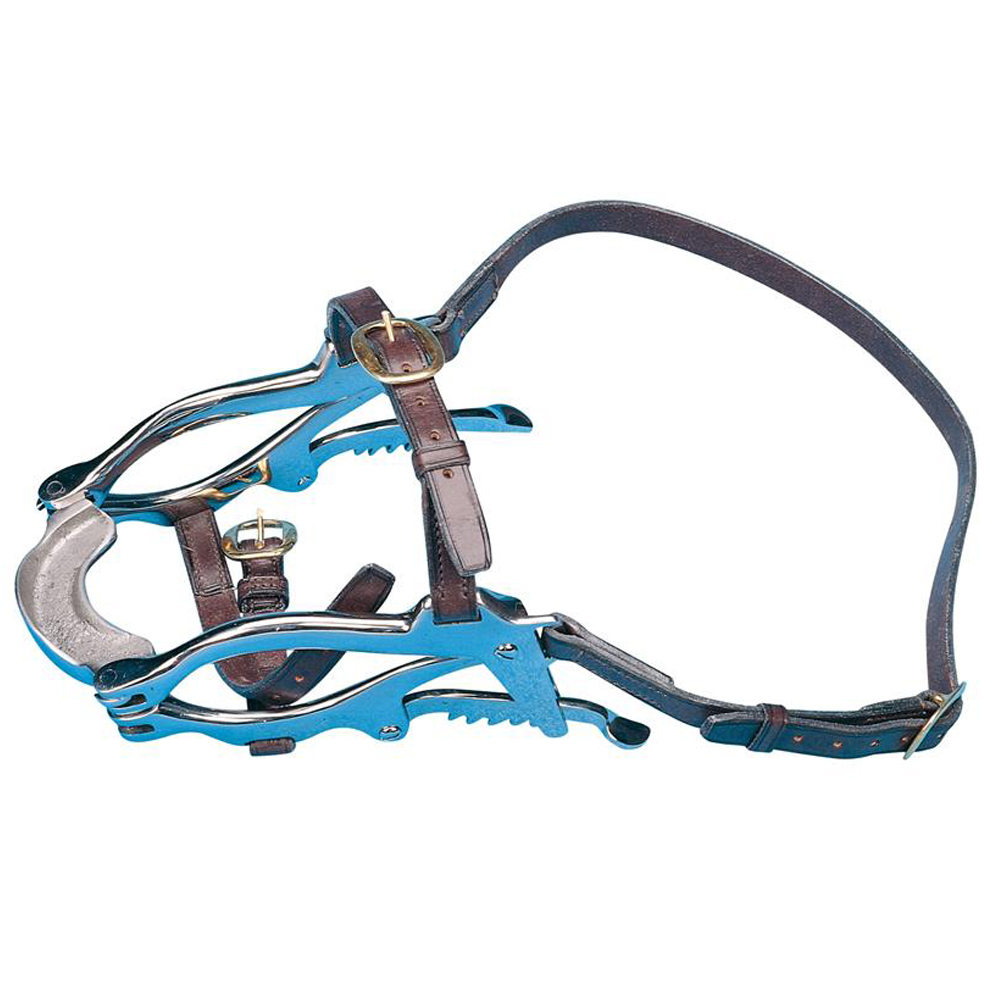 Climax Mouth Gag