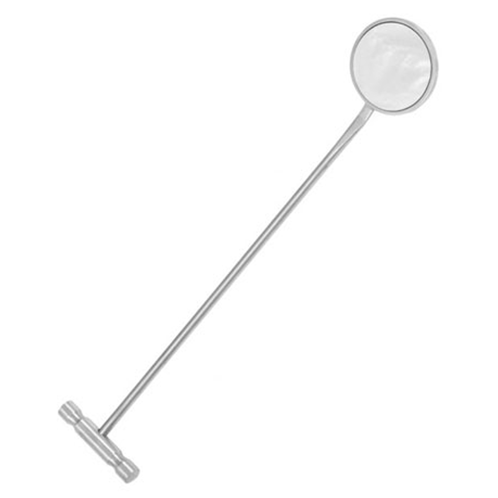 Equine Dental Mirror