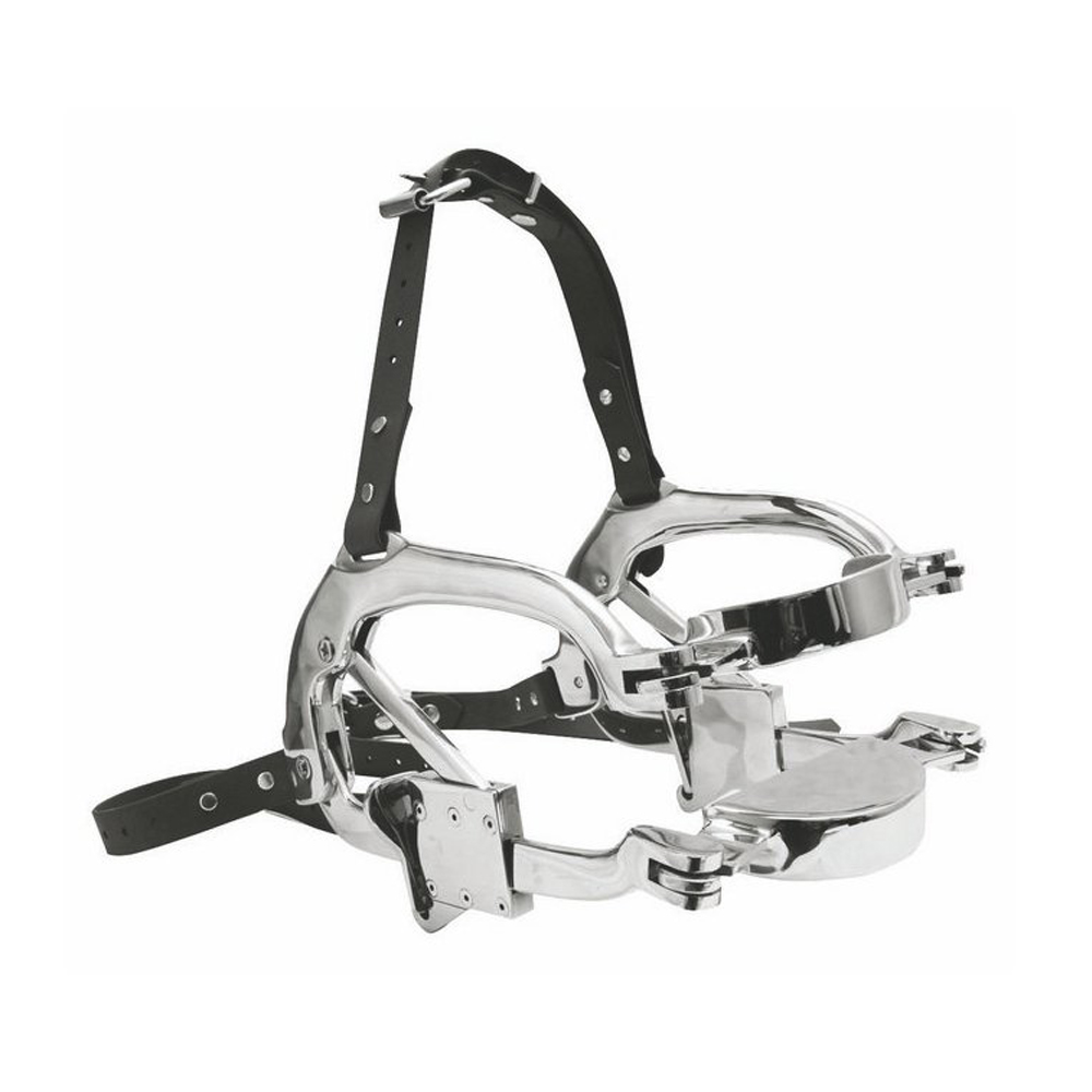 Millennium Speculum
