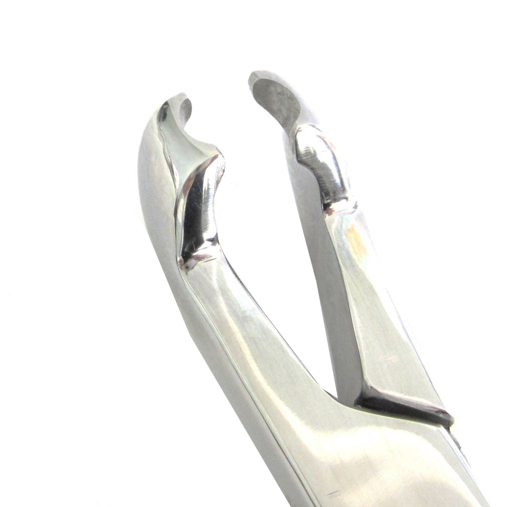 Reynolds Cap Extractor Forceps