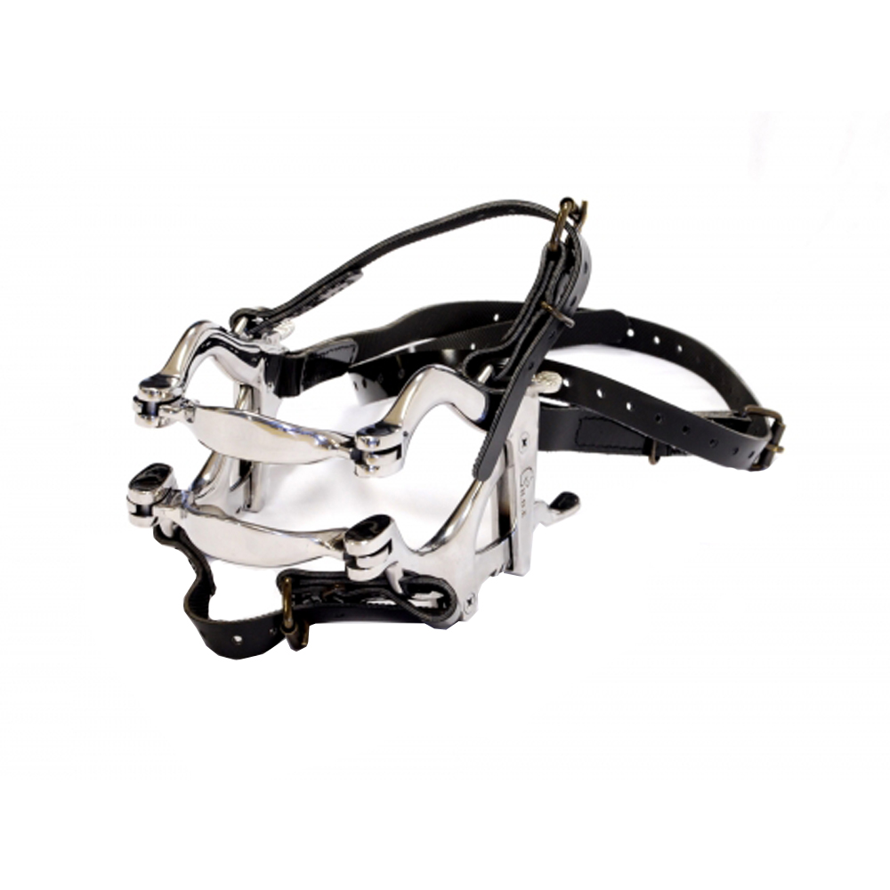 Millennium Speculum