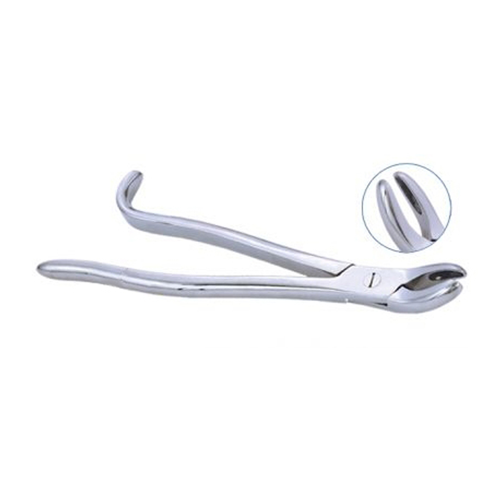 Wolf Tooth Forceps