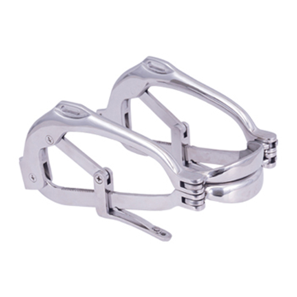 Millennium Speculum
