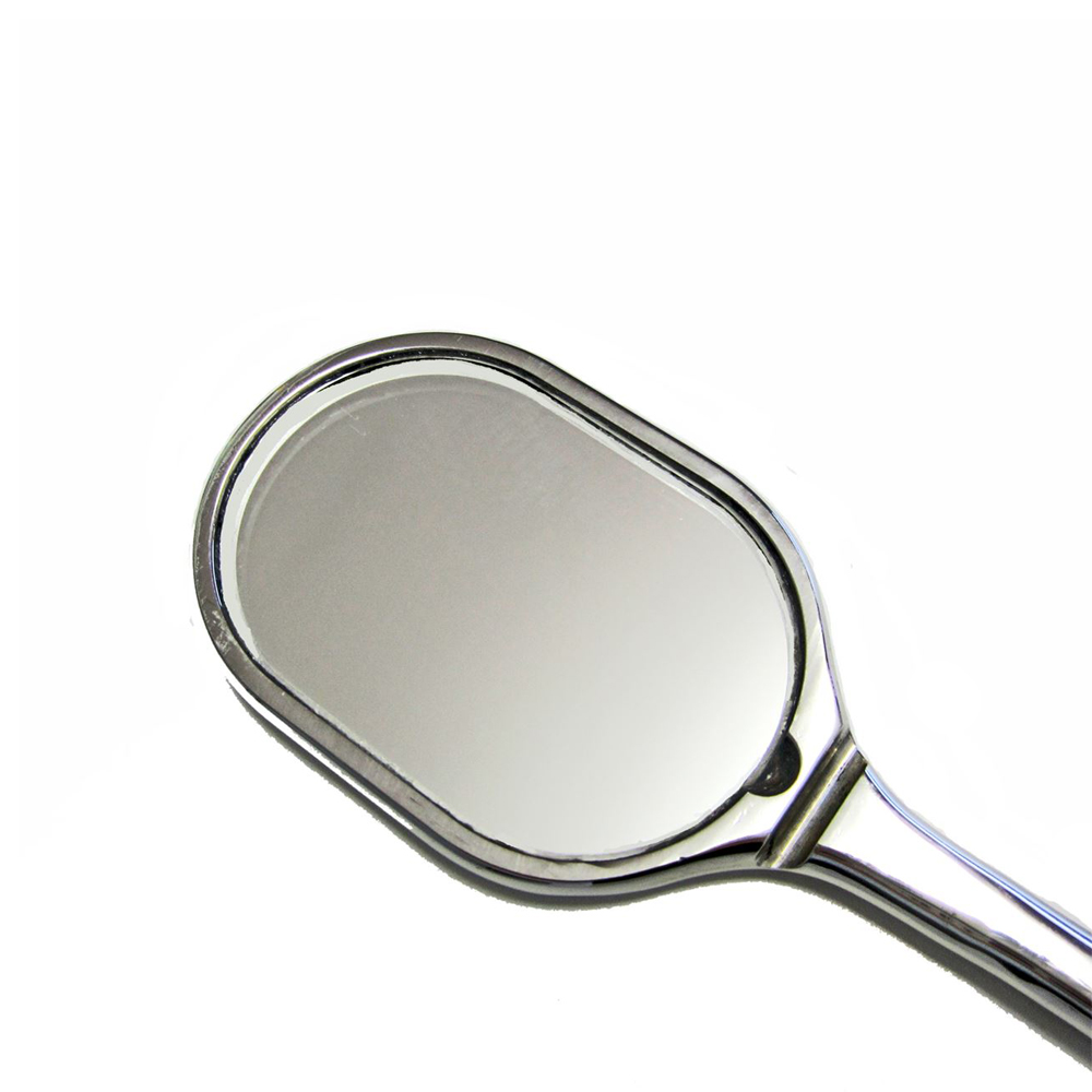 Equine Dental Mirror