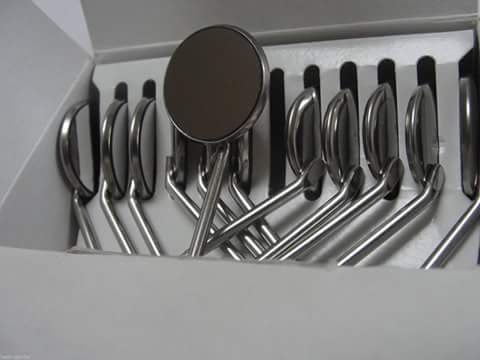 Equine dental mirror